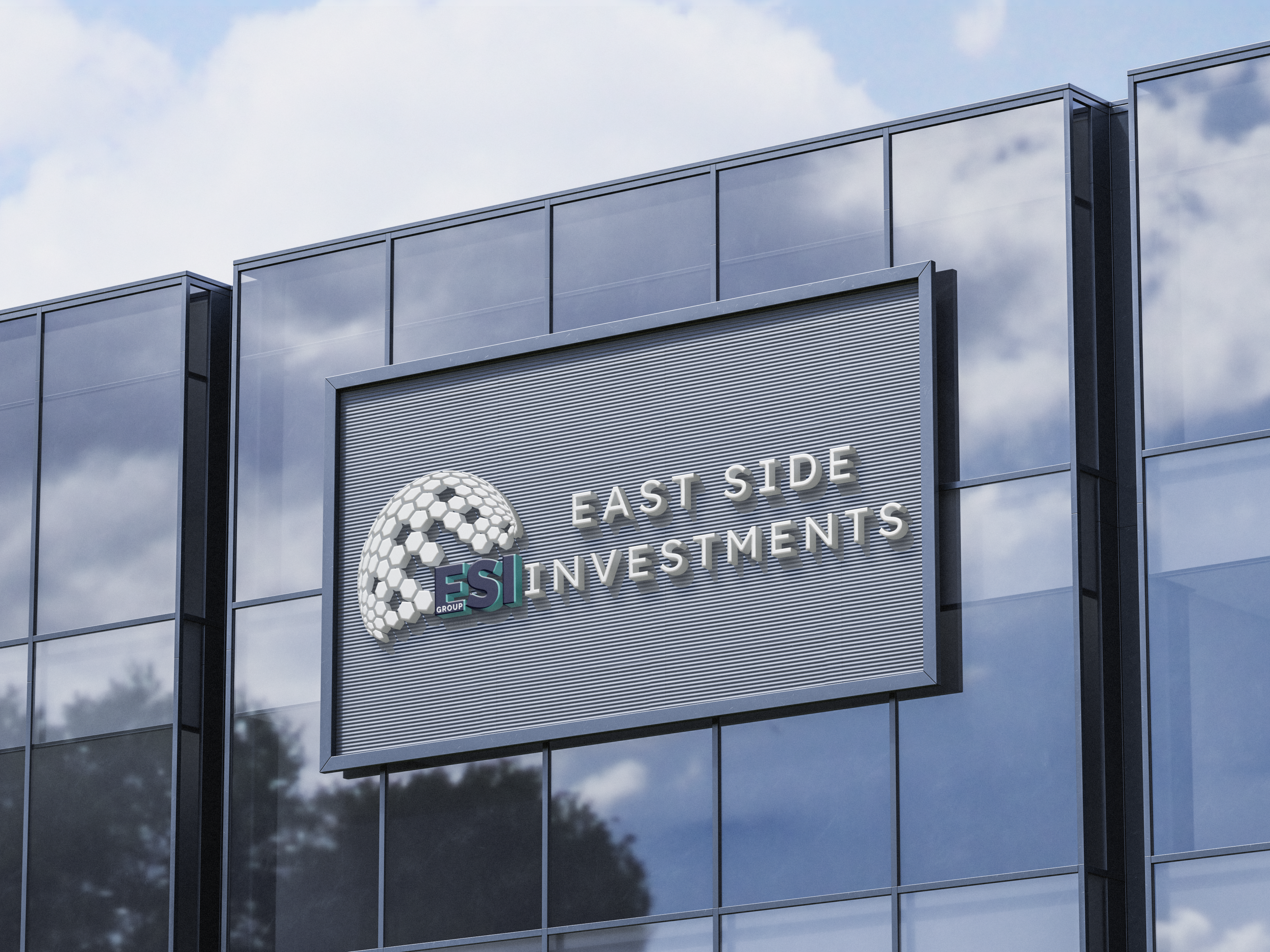 esi (5)